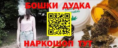 индика Бийск
