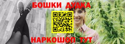 индика Бийск