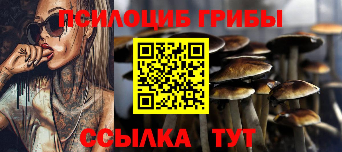 Псилоцибиновые грибы ЛСД  Вход с VPN  Зеленогорск 