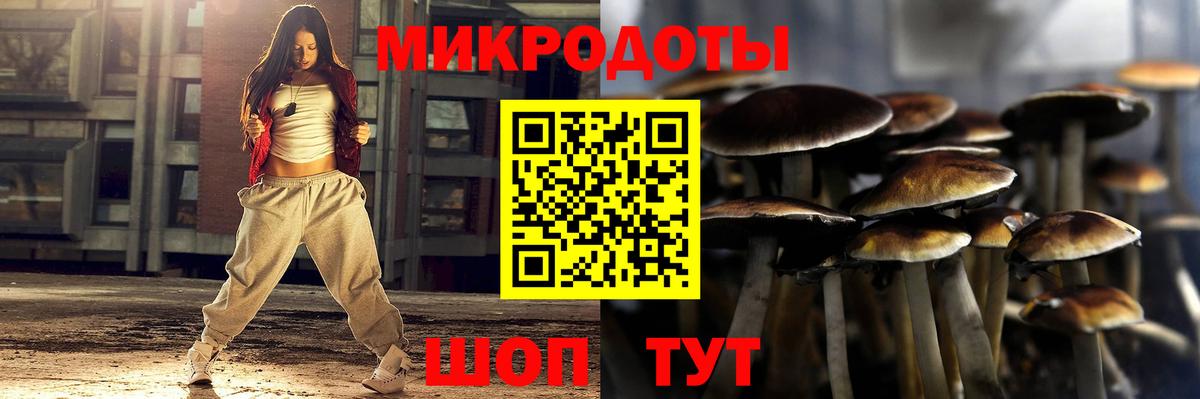 Галлюциногенные грибы Psilocybine cubensis Зеленогорск